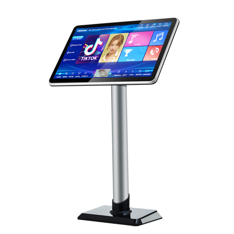 40W Chinese Karaoke Player Mac - огляд і ціна Home Bar Android