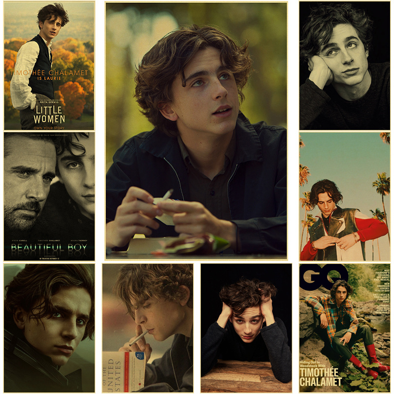 Timothee Chalamet Retro Canvas - огляд і ціна Home Bar And Theater